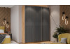 Шкаф-купе с 3 глухими дверями «Оскар Хилтон» Ручка серебро, Дуб Крафт золотой, Графит матовый