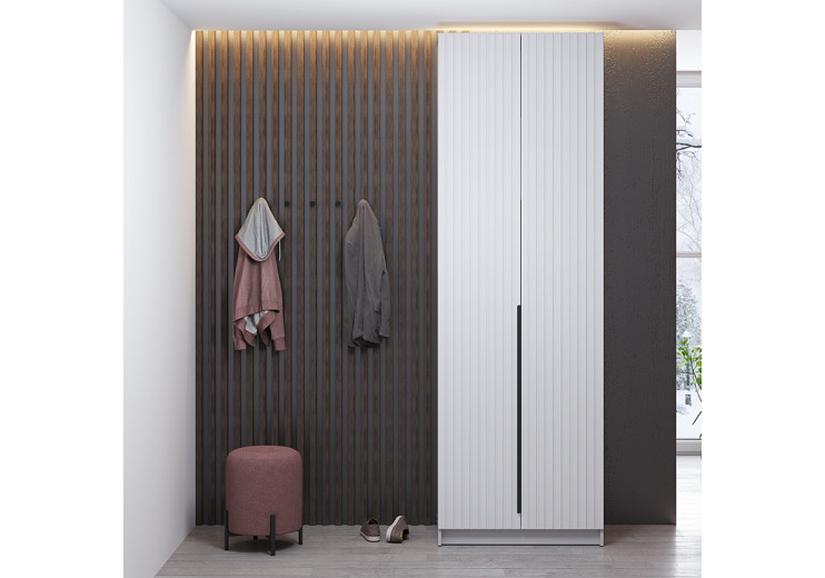 Шкаф для одежды 67.14 "Брандо" (2-х дв.) (белый / ДВПО: белый / фасад: МДФ ПВХ белый)		